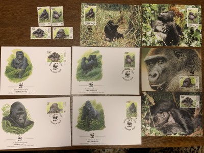 congo - gorila - serie 4 timbre MNH, 4 FDC, 4 maxime, fauna wwf foto