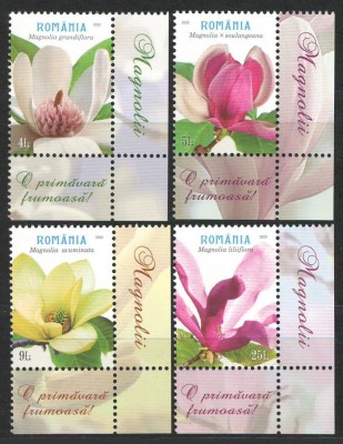 Romania 2025 - LP 2505 - Magnolii, flori, flora foto