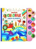 Cumpara ieftin Invata culorile. Carte cu sunete/***