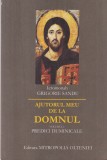 Grigorie Sandu - Ajutorul meu de la Domnul, volumul 1: Predici duminicale