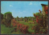 CPIB 24371 CARTE POSTALA - BUCURESTI - PARCUL HERASTRAU, ALEEA TRANDAFIRILOR, NECIRCULATA, 1975, OSETCM, DANTELATA, Fotografie