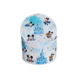 Cumpara ieftin Cutie Transport Trusou Botez, Model Baby Mickey si Castel - CTB10