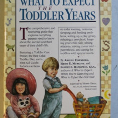 WHAT TO EXPECT - THE TODDLER YEARS by ARLENE EISENBERG ...SANDEE E . HATHAWAY , 1994