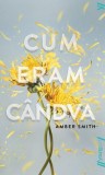 Cum eram candva &ndash; Amber Smith