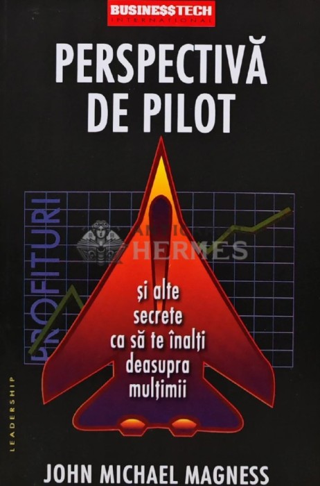 Perspectiva de pilot - 2006 - John Michael Magness (AS95)