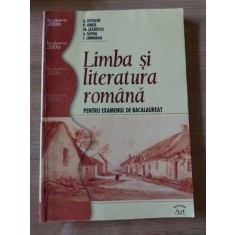 Limba si literatura romana pentru examenul de bacalaureat- A. Costache, Fl. Ionita