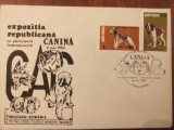 Expo canina Timisoara 1984