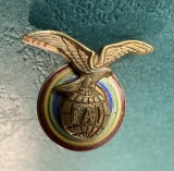 Insigna aviatie civila miniatura FAI