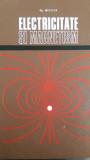 Electricitate si magnetism A.Nicula 1973
