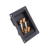 Conect Boxa 4Borne Aurite+S