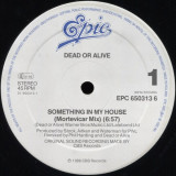 Dead Or Alive - Something In My House (Mortevicar Mix) (Vinyl), VINIL