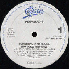 Dead Or Alive - Something In My House (Mortevicar Mix) (Vinyl)