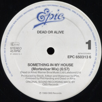 Dead Or Alive - Something In My House (Mortevicar Mix) (Vinyl) foto