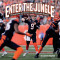 Enter the Jungle: Photographs and History of the Cincinnati Bengals