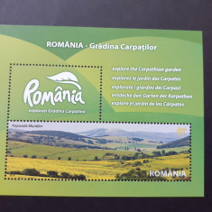 2010 - Romania -Gradina Carpatilor - colita dantelata - LP1874