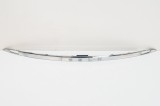 Ornament lampa număr de &icirc;nmatriculare TESLA MODEL S 2017 OEM: 1025776-00-A 13354045