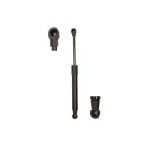 Amortizor capota motor compatibil cu Bmw X5 E53 (2000 - 2006)
