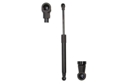 Amortizor capota motor compatibil cu Bmw X5 E53 (2000 - 2006) foto