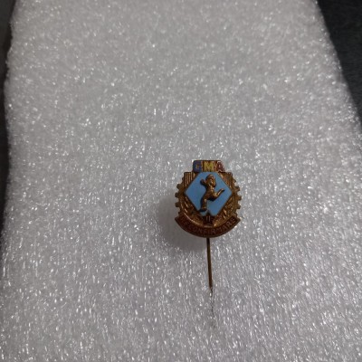 insigna GMA Reconfirmare foto