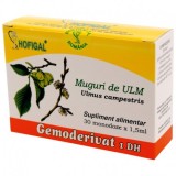 Gemoderivat Muguri Ulm Hofigal 30mdz