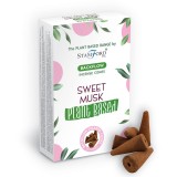 Cumpara ieftin Conuri Parfumate pe Baza de Plante - Mosc Dulce
