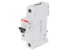 &Icirc;ntrerupător de Supracurent 6A 230V 1P C