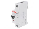 &Icirc;ntrerupător de Supracurent 6A 230V 1P C