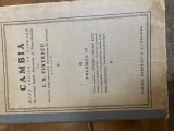 I. N. Fintescu - Cambia, volumul 2 - 1921