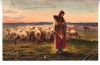 D11 A 15 - Felicitare de colectie - circulata la 1905 - Frankfurt, Germania, Printata