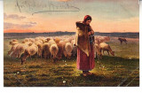 D11 A 15 - Felicitare de colectie - circulata la 1905 - Frankfurt