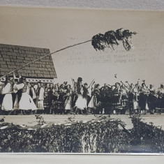 IMPODOBIREA MAJULUI , OBICEI POPULAR IN BOEMIA , MORAVIA SI SLOVACIA FOTOGRAFIE DE GRUP CU TARANI IN COSTUME TRADITIONALE , MONOCROMA, PERIOADA INTERB