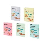 H&acirc;rtie color pentru copiator Rainbow A4, pastel, 80 g/mp, 500 coli/top