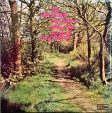 Vinil # LP The Vic Lewis Orchestra* &lrm;&ndash; The Vic Lewis Orchestra Plays The Songs Of Donovan (EX)