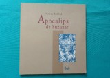 Cristian Badilita &ndash; Apocalips de buzunar