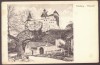 1702 - BRAN, Brasov, Dracula Castle, Romania - old postcard - unused - 1917, Necirculata, Printata