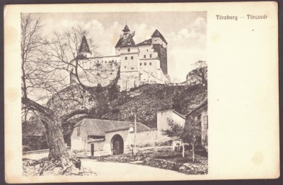 1702 - BRAN, Brasov, Dracula Castle, Romania - old postcard - unused - 1917 foto