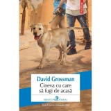 Cineva cu care sa fugi de acasa, David Grossman