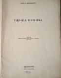 Terasele fluviatile (Vintila Mihăilescu, 1937)