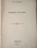 Terasele fluviatile (Vintila Mihăilescu, 1937)