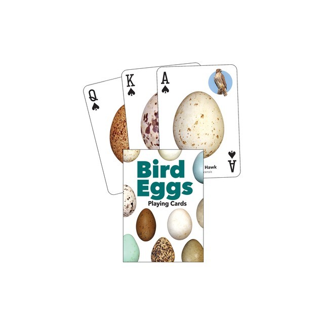 Bird Eggs Playing Cards