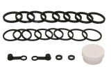 Cumpara ieftin Set de reparatie a etrierului de frana Fata pentru KAWASAKI ZX-10R 1000 2008-2010