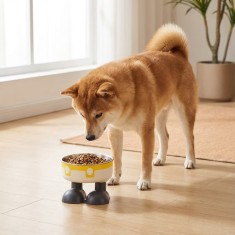 Bol din otel inoxidabil cu capacitate mare pentru caini si pisici, design ridicat, 11 x 14 cm