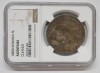 5 LEI 1882 . AU DETAILS . VARIANTA "2" DEPARTAT - VEDETI ULTIMA POZA ., Argint