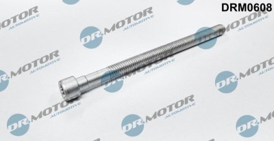 Surub, Suport Injector 244253 DRM0608 foto