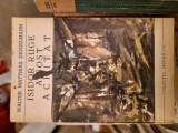 Istoria ruge a fost achitat vintage