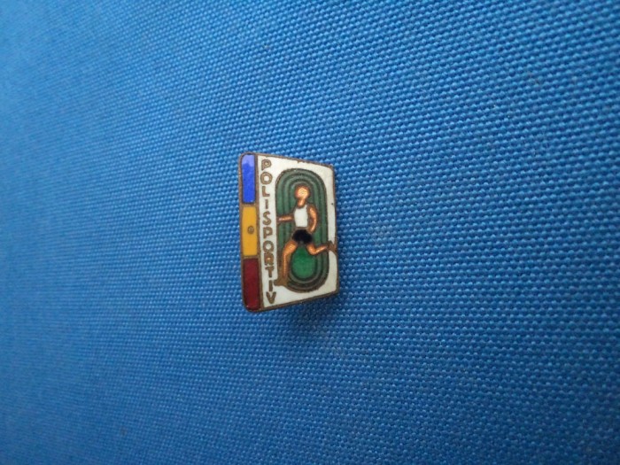 INSIGNA POLISPORTIV