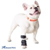 Walkinpets - Orteză fără talpă (pentru picoarele din față) - pentru c