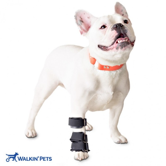 Walkinpets - Orteză fără talpă (pentru picoarele din față) - pentru c