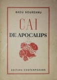 CAI DE APOCALIPS