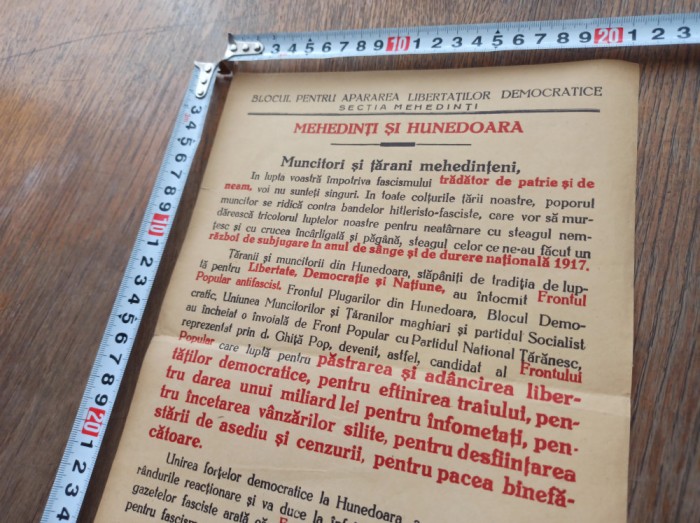 PLIANT MEHEDINTI SI HUNEDOARA- AFARA CU CUZISTII LUI HITLER *** CCA1945